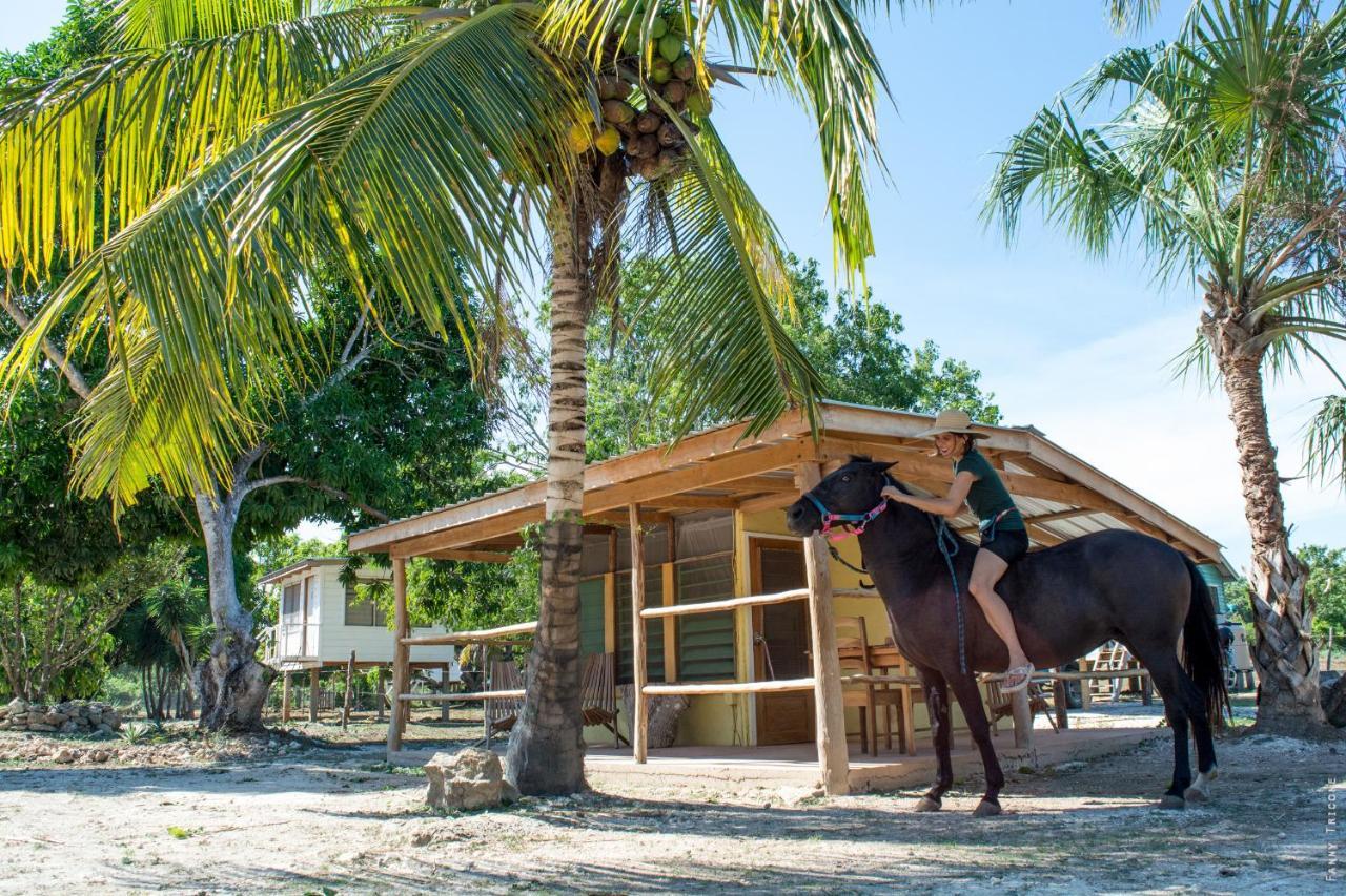 Horse Cottage Sarteneja Εξωτερικό φωτογραφία
